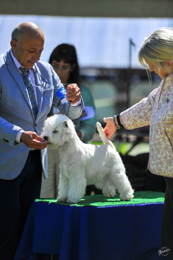 Chase juzgado por Frances Smith