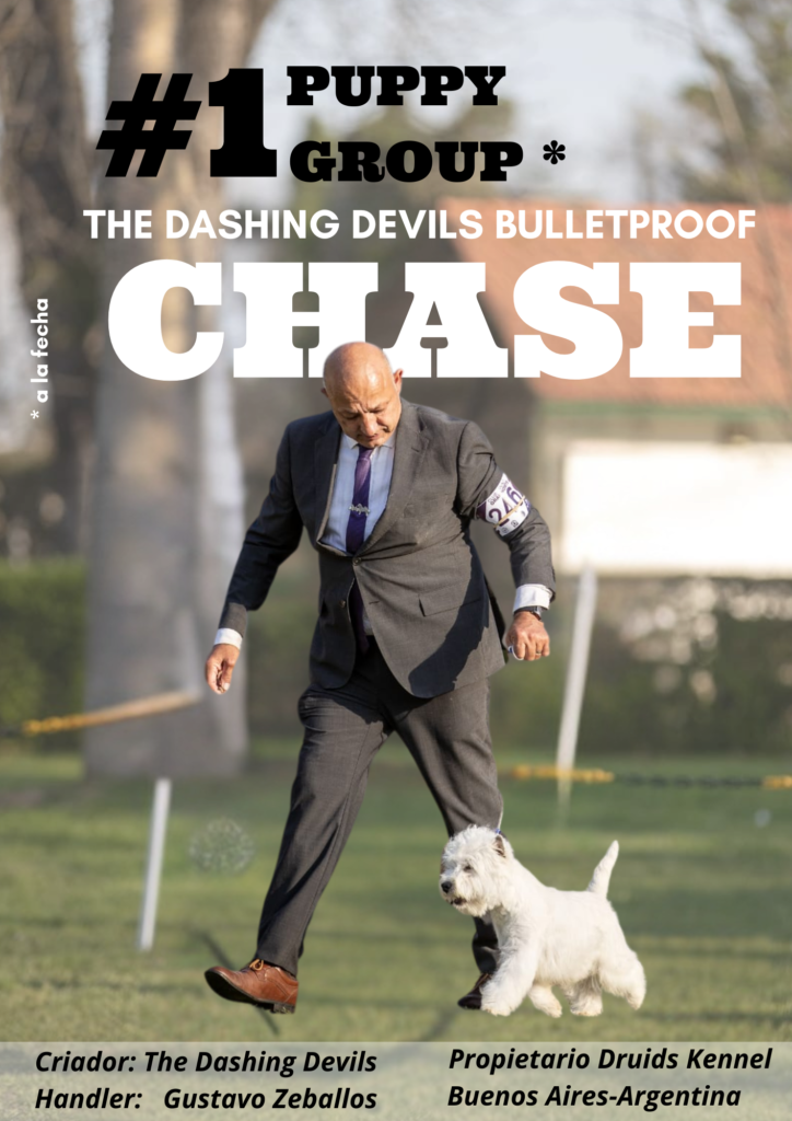 The Dashing Devils Bulletproof 1Grupo