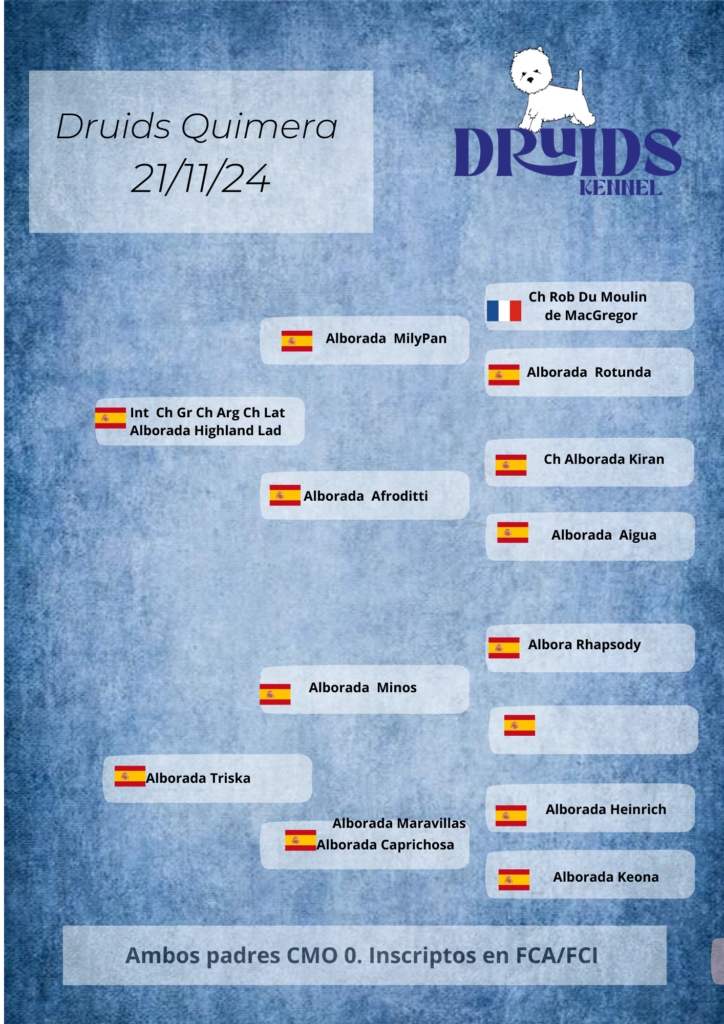 Pedigree Druids Quimera