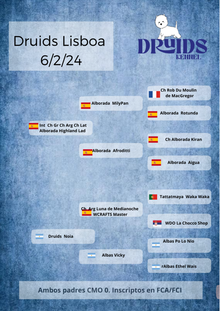 Pedigree Druids Lisboa