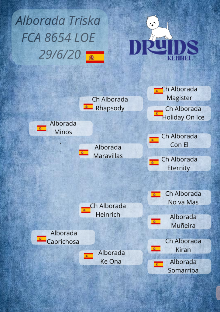 Pedigree Alborada Triska