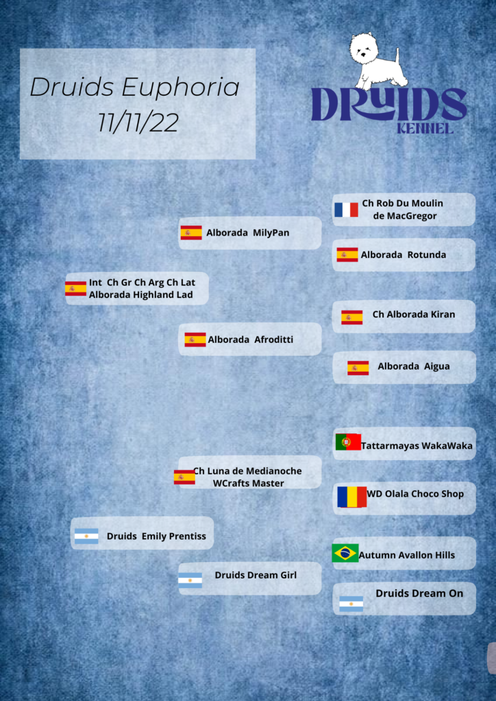 Pedigree Druids Euphoria