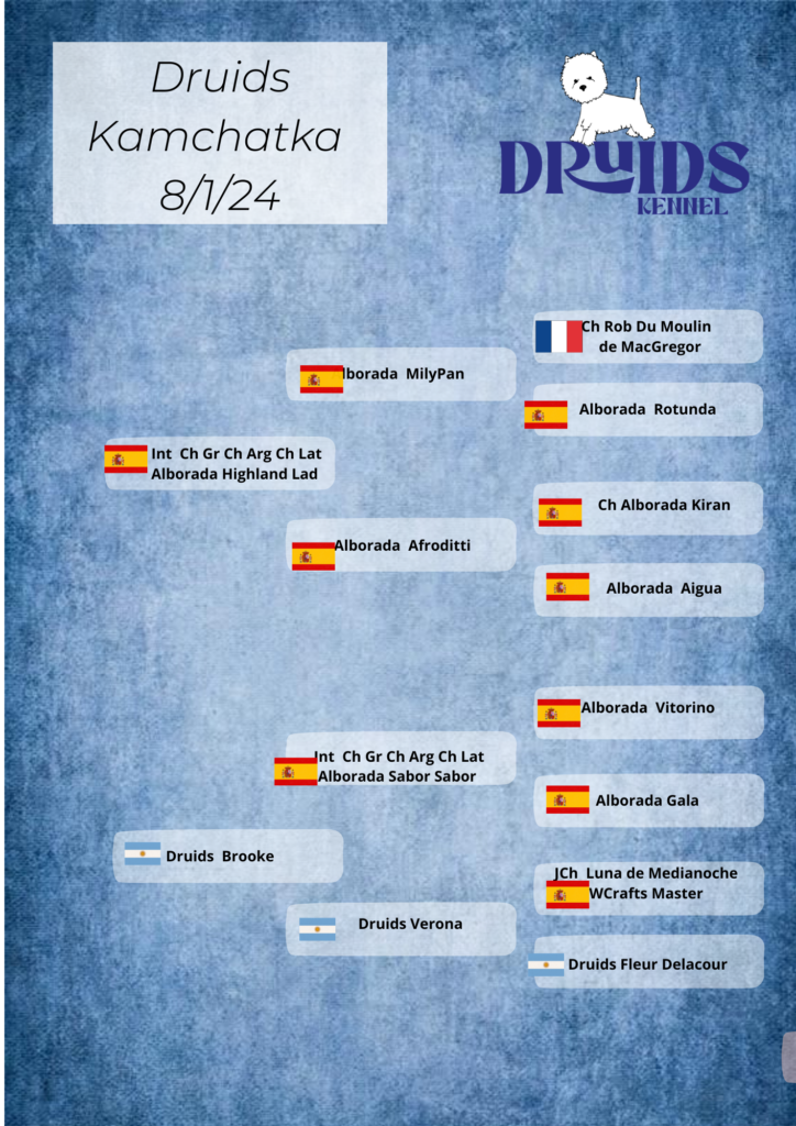 Pedigree Druids Kamchatka