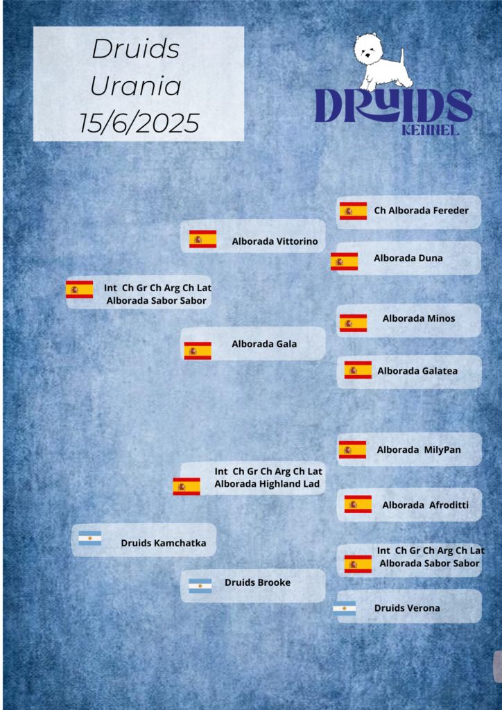 Pedigree Druids Urania