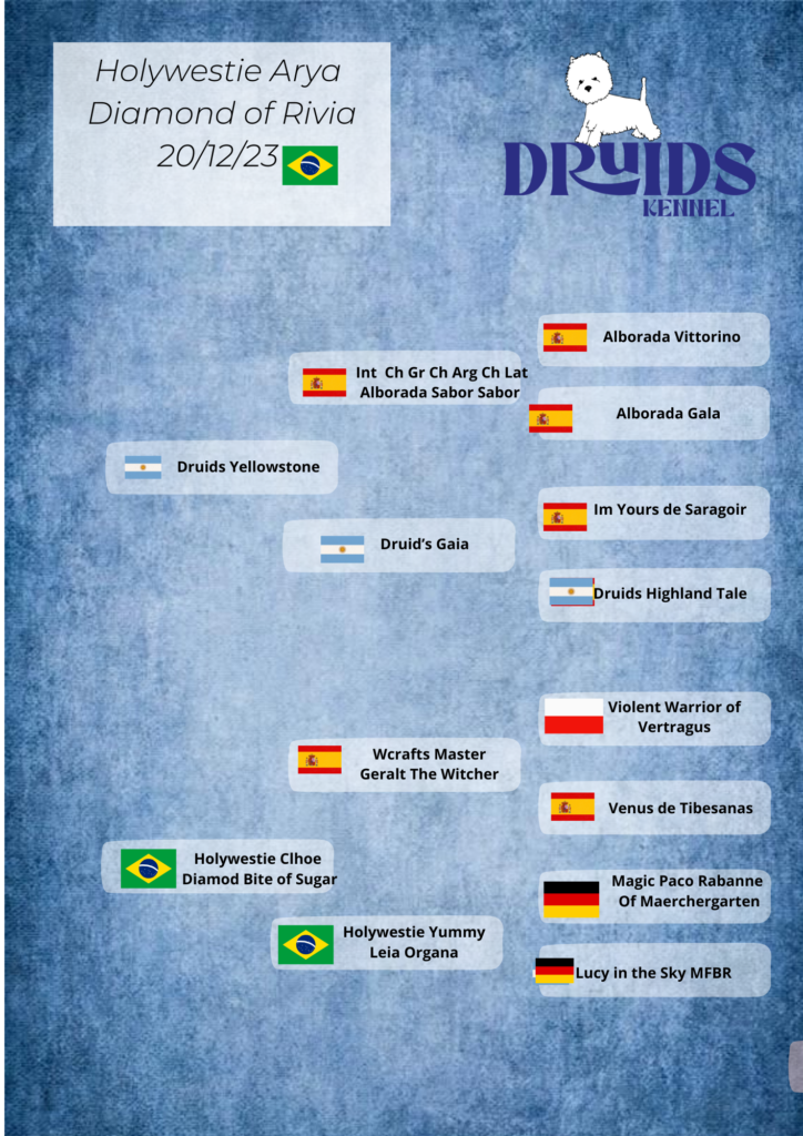 Pedigree Holywestie Arya Diamond of Rivia