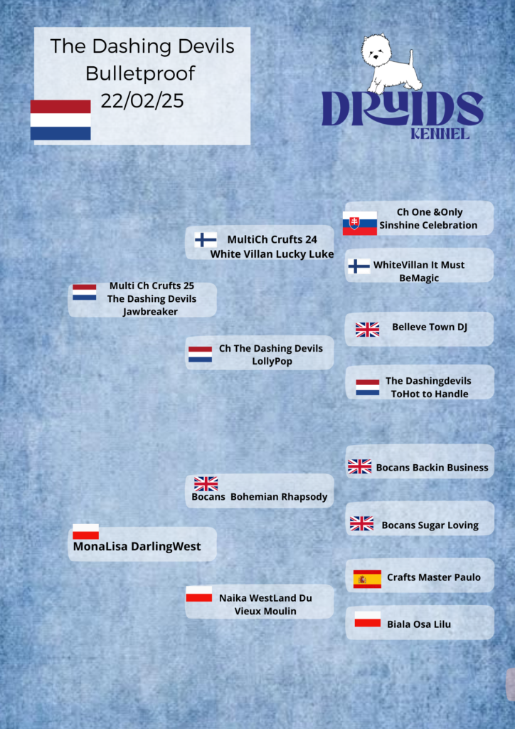 Pedigree The Dashing Devils Bulletproof
